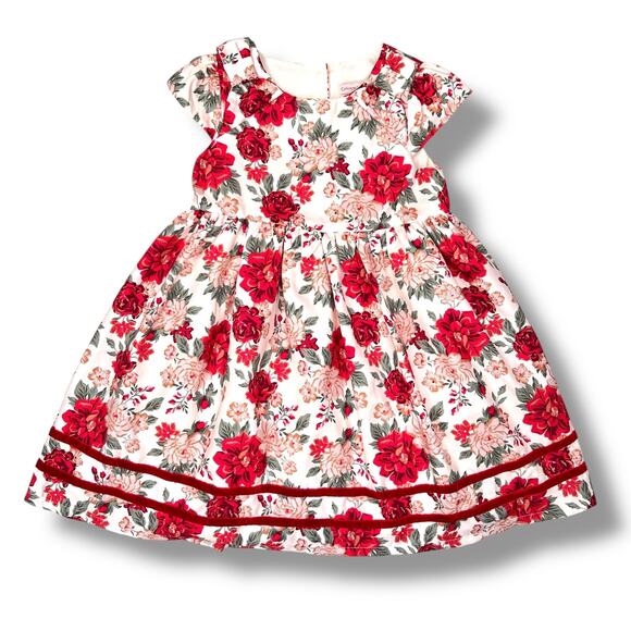 Catherine Malandrino Dress Girls 5 Ivory Floral Velvet Holiday Lined Cap Sleeve - Picture 1 of 9